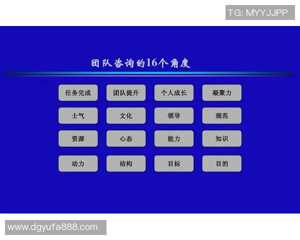 南京排球队团队协作的独特优势与其他球队的深度对比分析