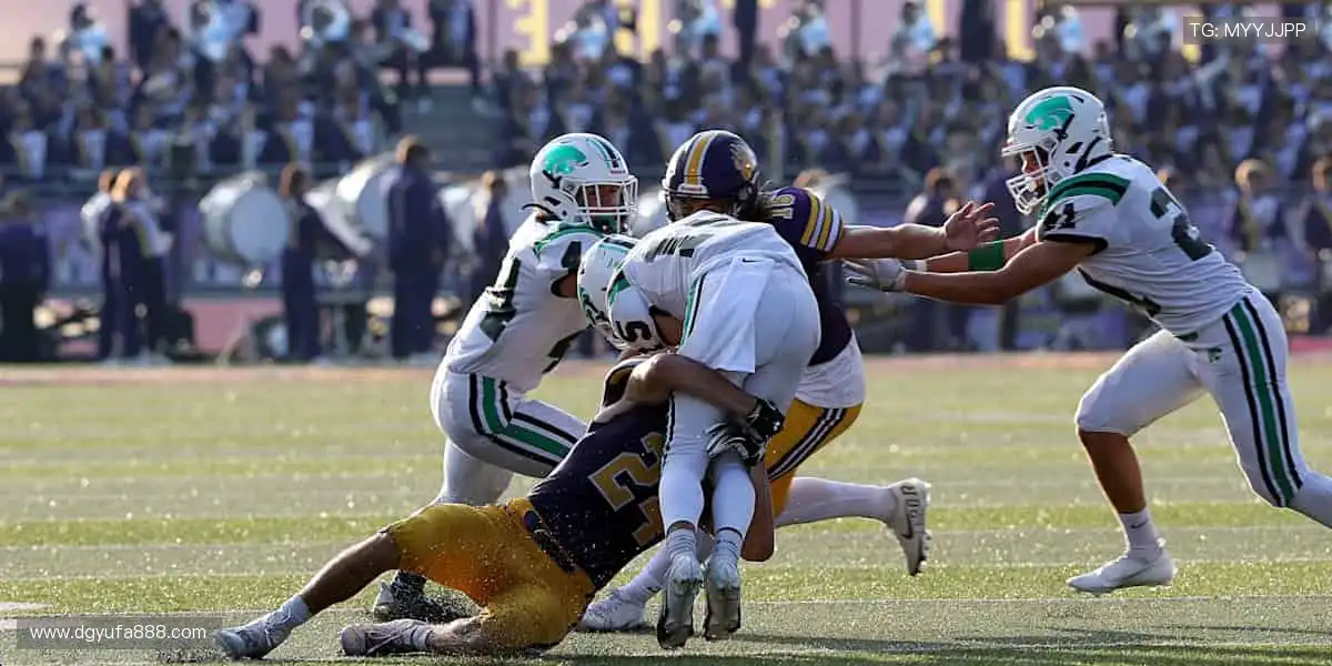 高清直播直击现场,互动狂欢点燃激情🏀